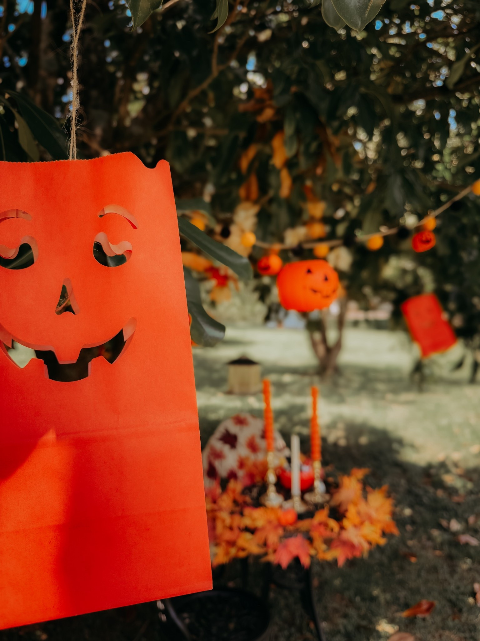 Taper candle painting | fall craft idea | Halloween craft | spooky painting | candle painting | candle wax craft #halloweendecor #fall2025 #falldecor

#LTKSeasonal #LTKHome #LTKautumn