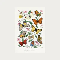 Butterfly Field Digital Download | Maris Home