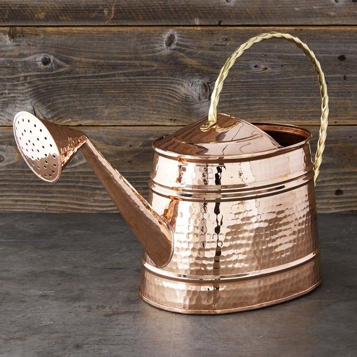 Copper Extra-Large Watering Can | Williams-Sonoma