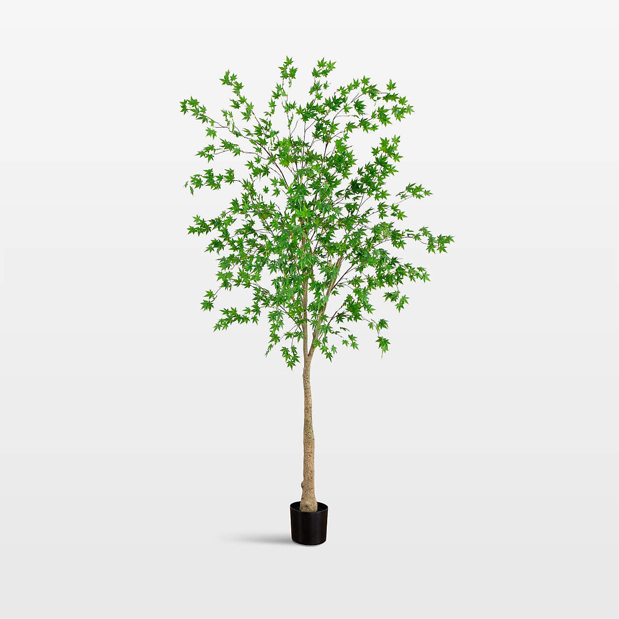 Faux Maple Tree 8' | Crate & Barrel | Crate & Barrel