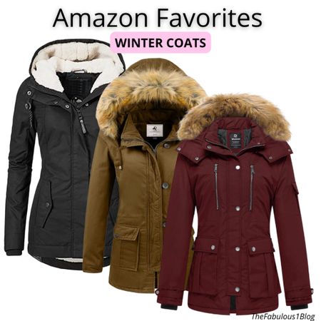 AMAZON FAVORITES | Winter Coats
#WinterFashion #Coat #FallFashion #Amazon 

#LTKunder100 #LTKtravel #LTKSeasonal