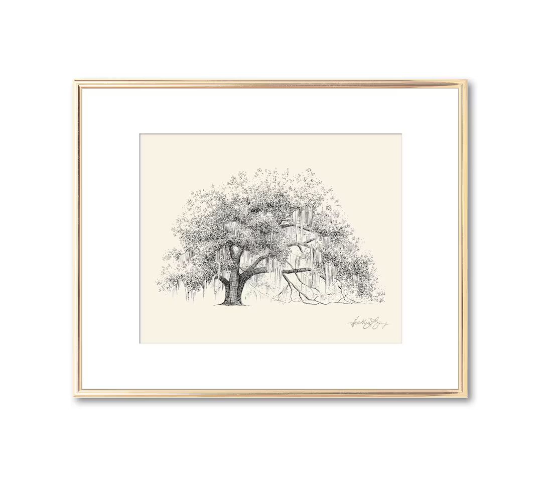 Ophelia Oak Tree - Live Oak Drawing - Fine Art - Signed Tree Print - Line Drawing - Paper Anniver... | Etsy (US)