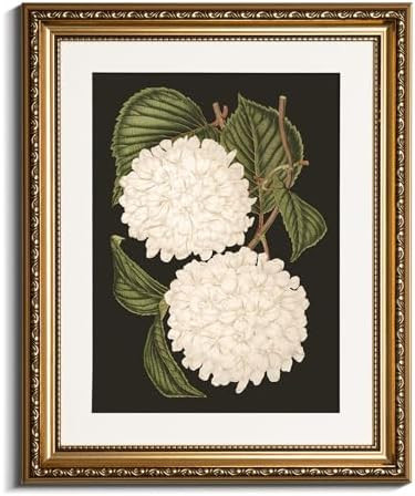 VIYYIEA Gold Framed Wall Art Canvas Print Home Decor White Hydrangea Oil Painting Canvas Prints R... | Amazon (US)