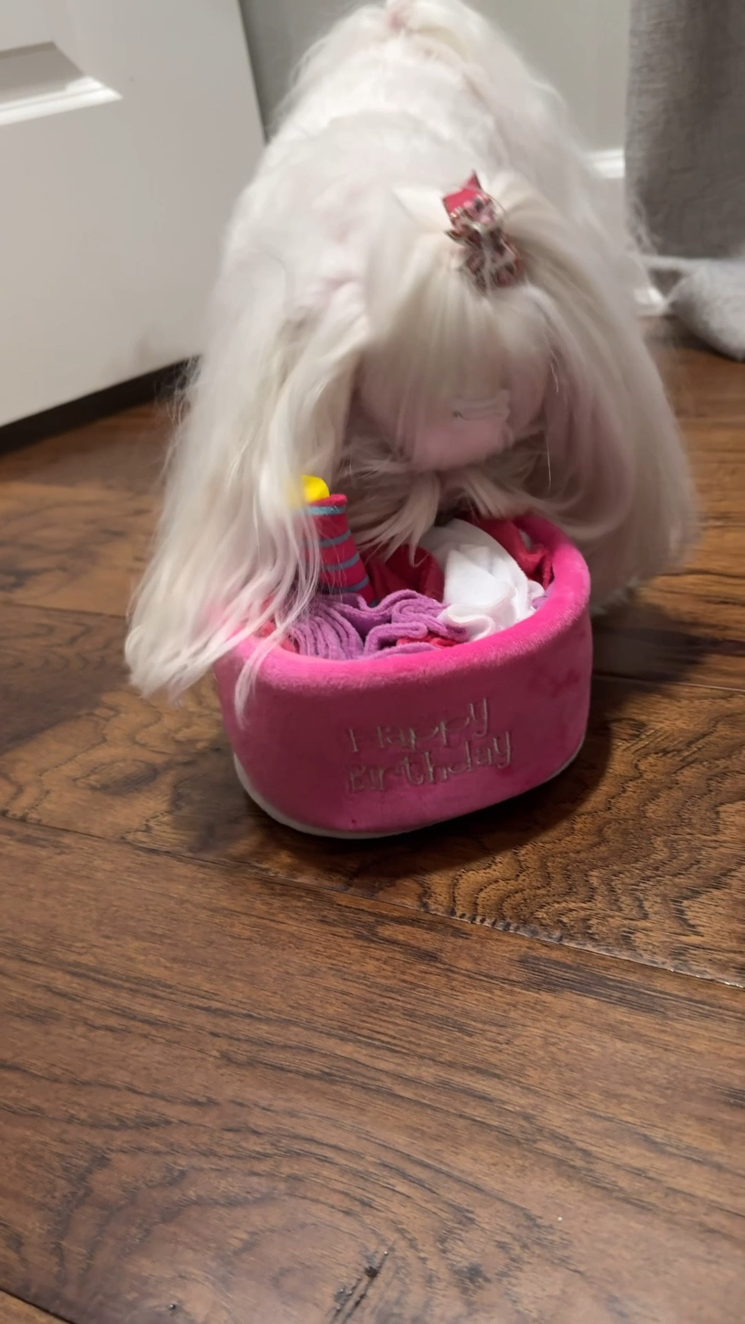 Still one of the pup’s favorite puzzle toys! 

#LTKPets