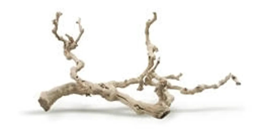 Sandblasted Grapewood, 24" | Etsy (US)