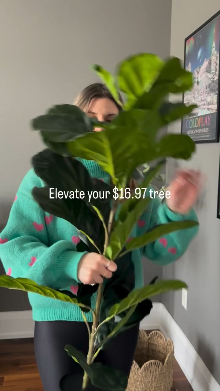 Also how is this faux plant only $16.97?$ Comment link 🔗 and I’ll send the link straight to your DMs. There are 4 different varieties available ✨. I’m planning on also using them by the pool this summer!
.
#walmartcanadafinds #homedecor home decorating