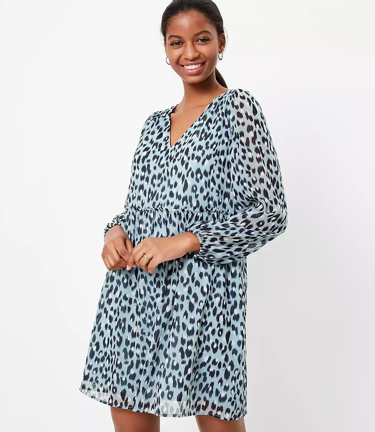Leopard Print V-Neck Swing Dress | LOFT