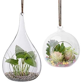 2 Pack Glass Hanging Planter Hanging Air Plant Terrarium Pots Heat-Resistant Glass for Succulent ... | Amazon (US)