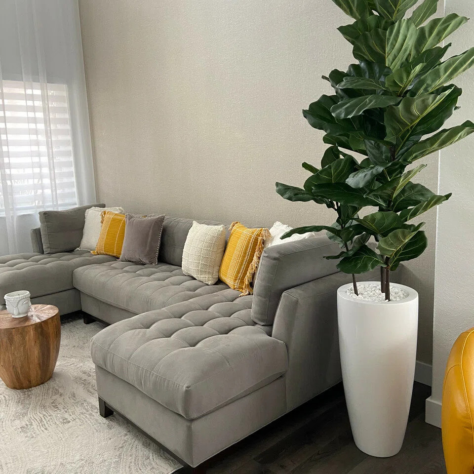 70" Fiddle Leaf Plant | Wayfair North America