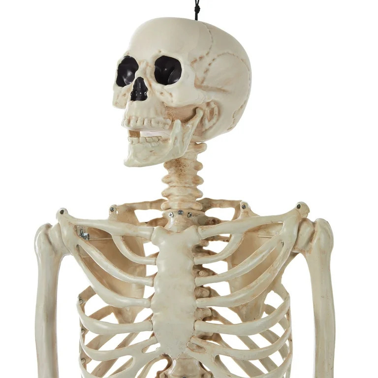 WAY TO CELEBRATE! Halloween Hanging Posable Skeleton Decoration, 5' | Walmart (US)