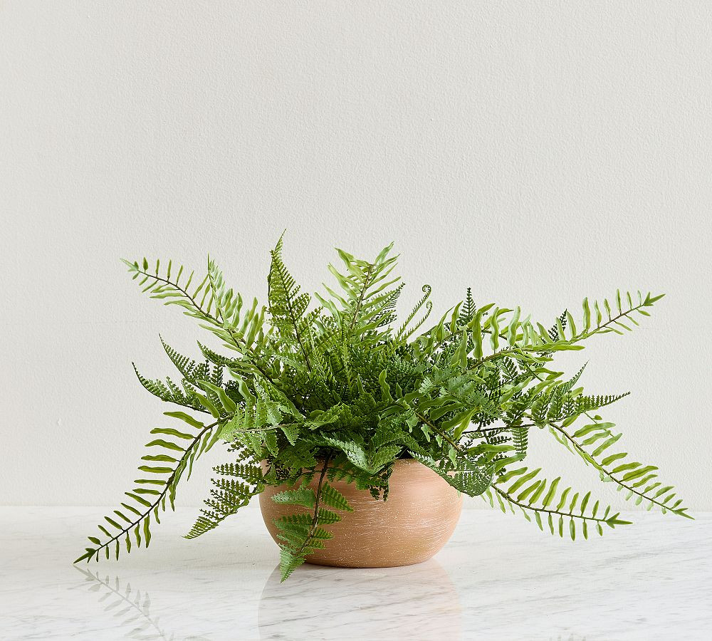 Faux Composed Mixed Fern | Pottery Barn (US)
