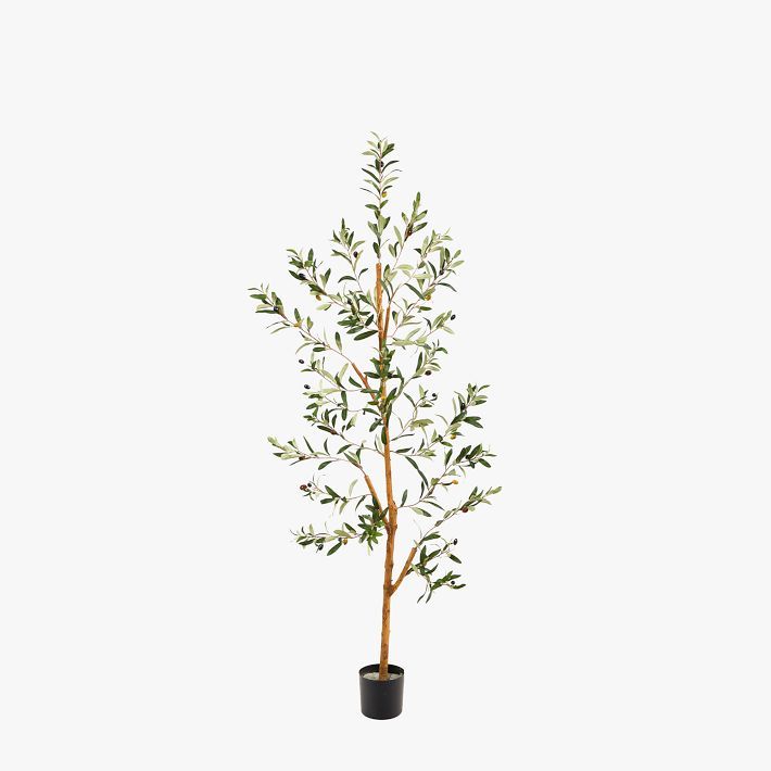 Faux Olive Tree | Pottery Barn Teen