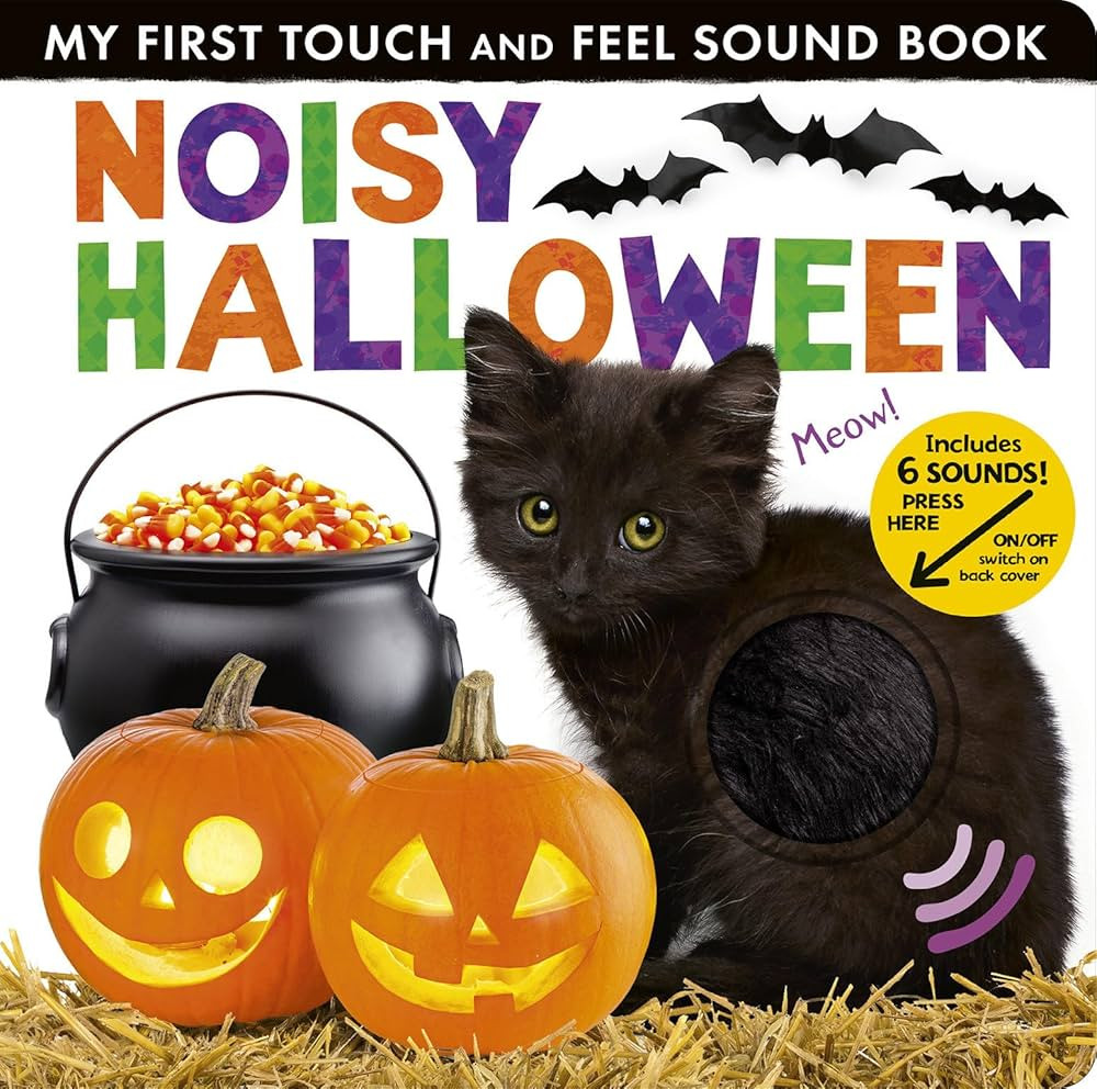 Noisy Halloween: My First Touch and Feel Sound Book | Amazon (US)