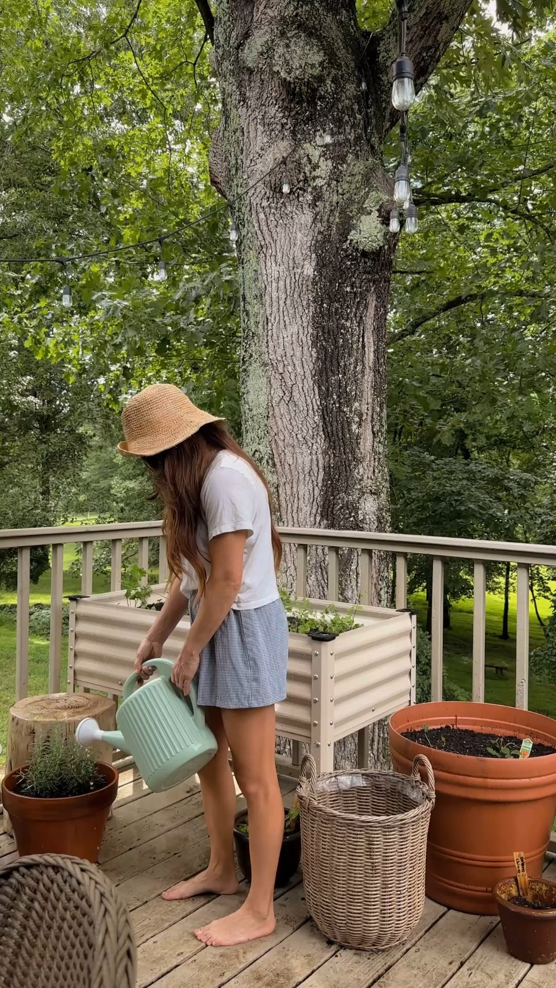 Creating a diy kitchen garden on my back porch is going to be so nice for cooking kitchen staples!

#LTKHome #LTKPetite #LTKSeasonal