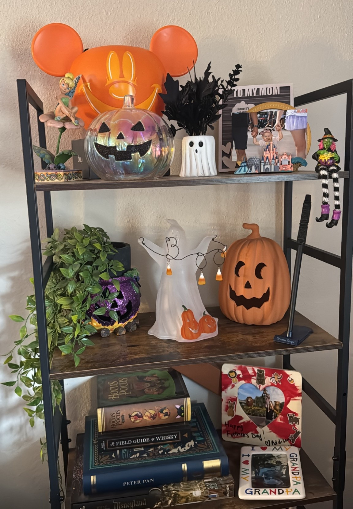 I love how my shelves turned out decorated for Halloween! Most of my decor is from targets Halloween section or some older things I’ve just had  

#LTKSeasonal #LTKHalloween #LTKHome