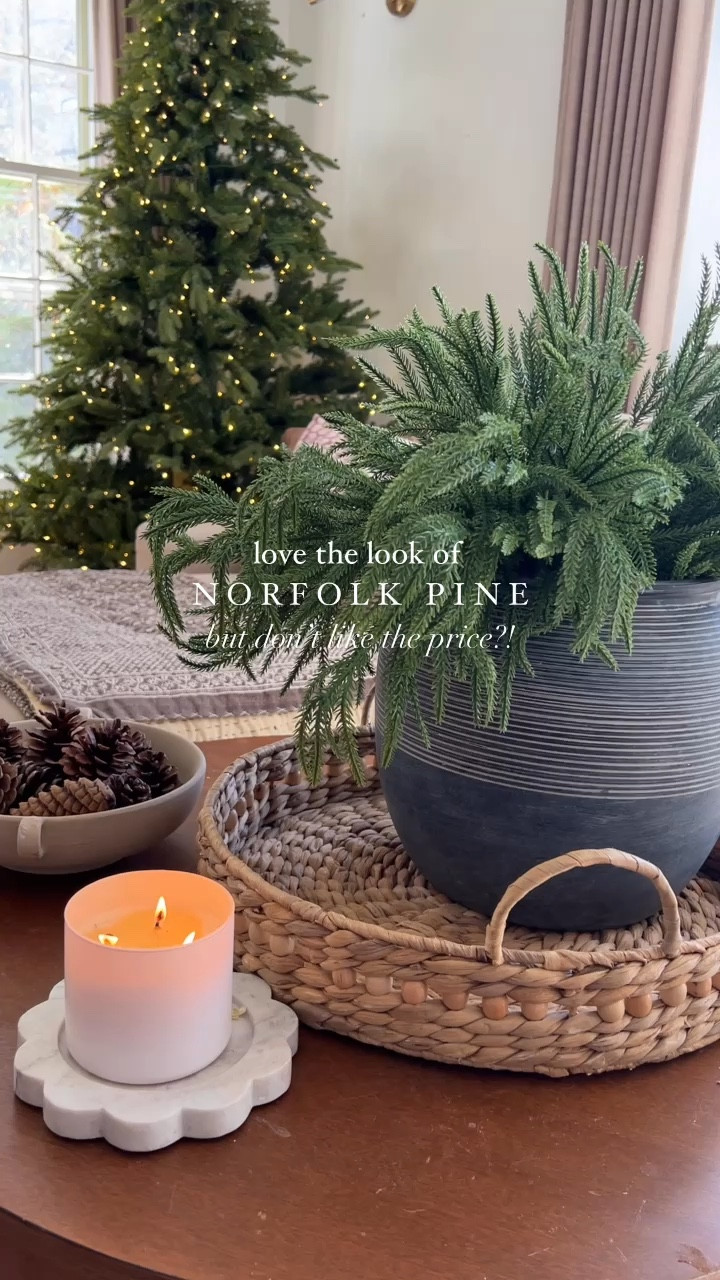 Afloral Norfolk pine look for less stems on Amazon! Super full and under $25! Love these so much! 

#LTKFindsUnder50 #LTKHoliday #LTKSeasonal