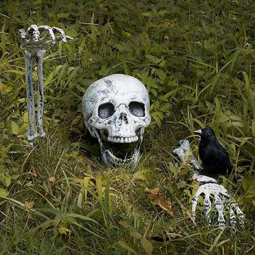 BAYSING Halloween Outdoor Decorations Skeleton Stakes, Realistic Scary Skull Head, and Hands Arms with Crow Set for Yard Lawn Graveyard Garden Stakes, Best Outdoor Halloween Decor Party Supplies | Amazon (US)