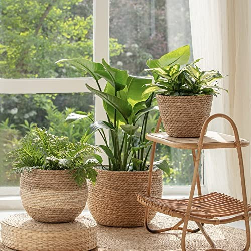 LA JOLIE MUSE Natural Seagrass Large Planter, Plant Pots Cover, Indoor Planters Flower Pots, 13.5 in | Amazon (US)