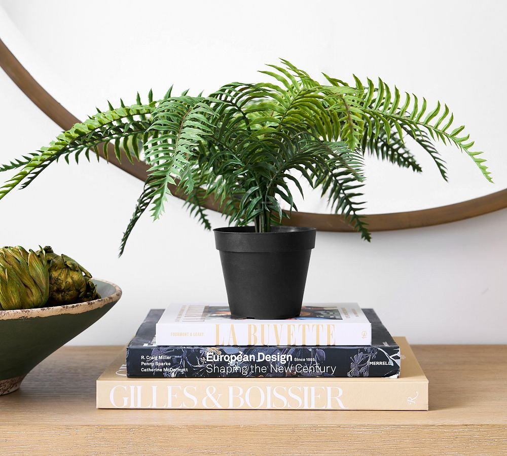 Faux Potted Wild Fern | Pottery Barn (US)