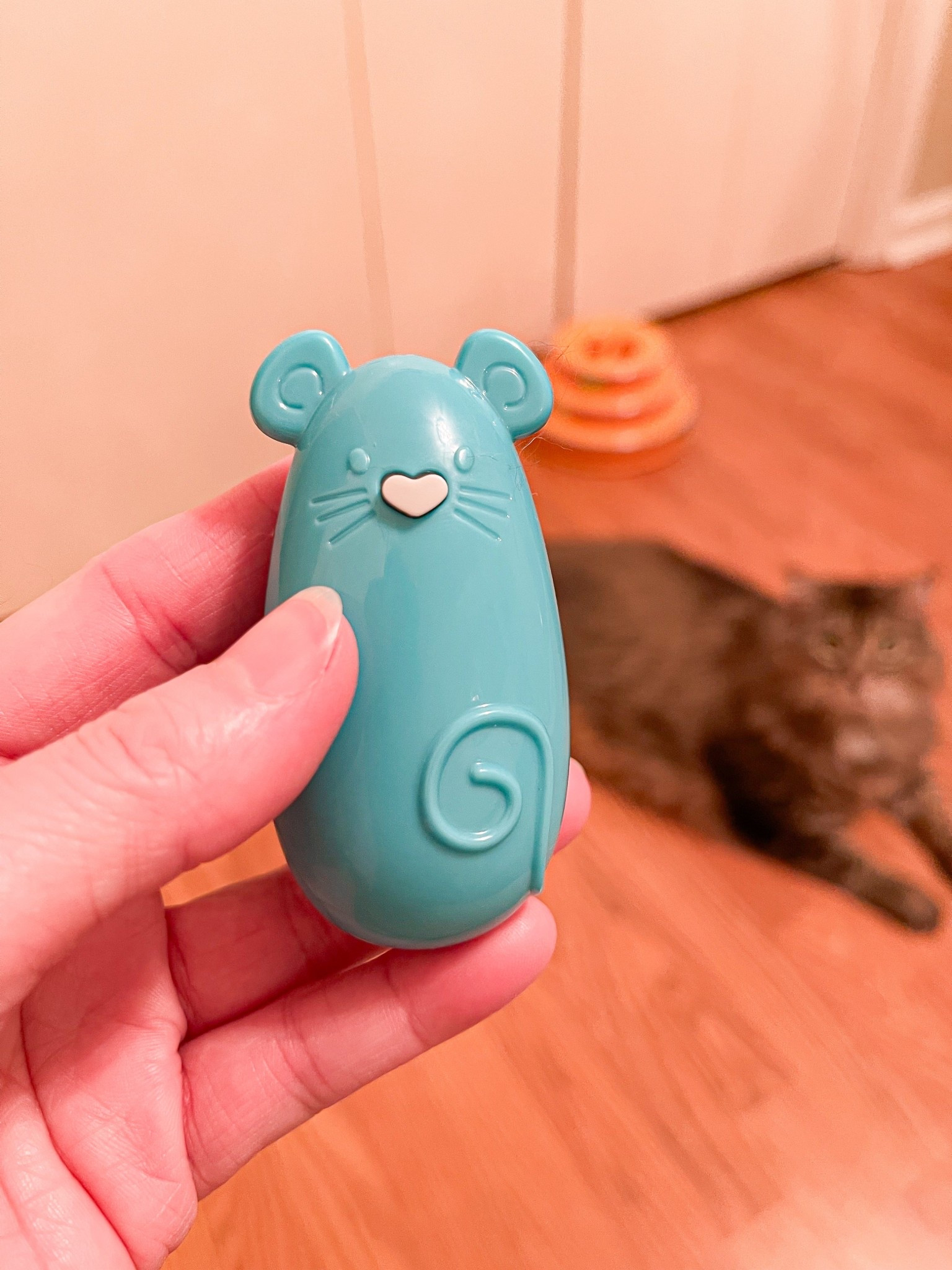This new laser light toy is RoxieBug approved. 🦁 🐾 🎀 