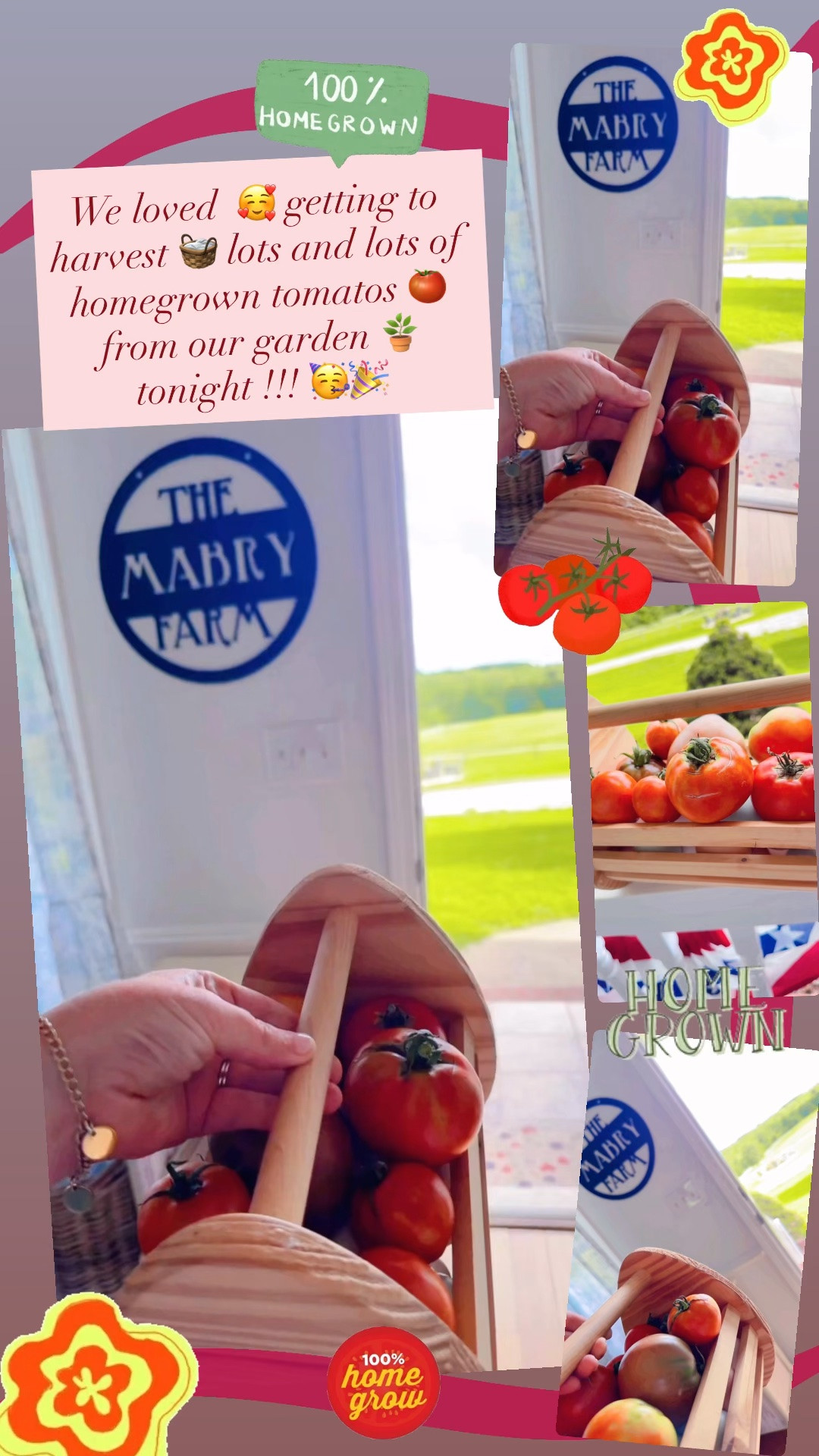 We loved  🥰 getting to harvest 🧺 lots and lots of homegrown tomatos 🍅 from our garden 🪴 tonight !!! 🥳🎉