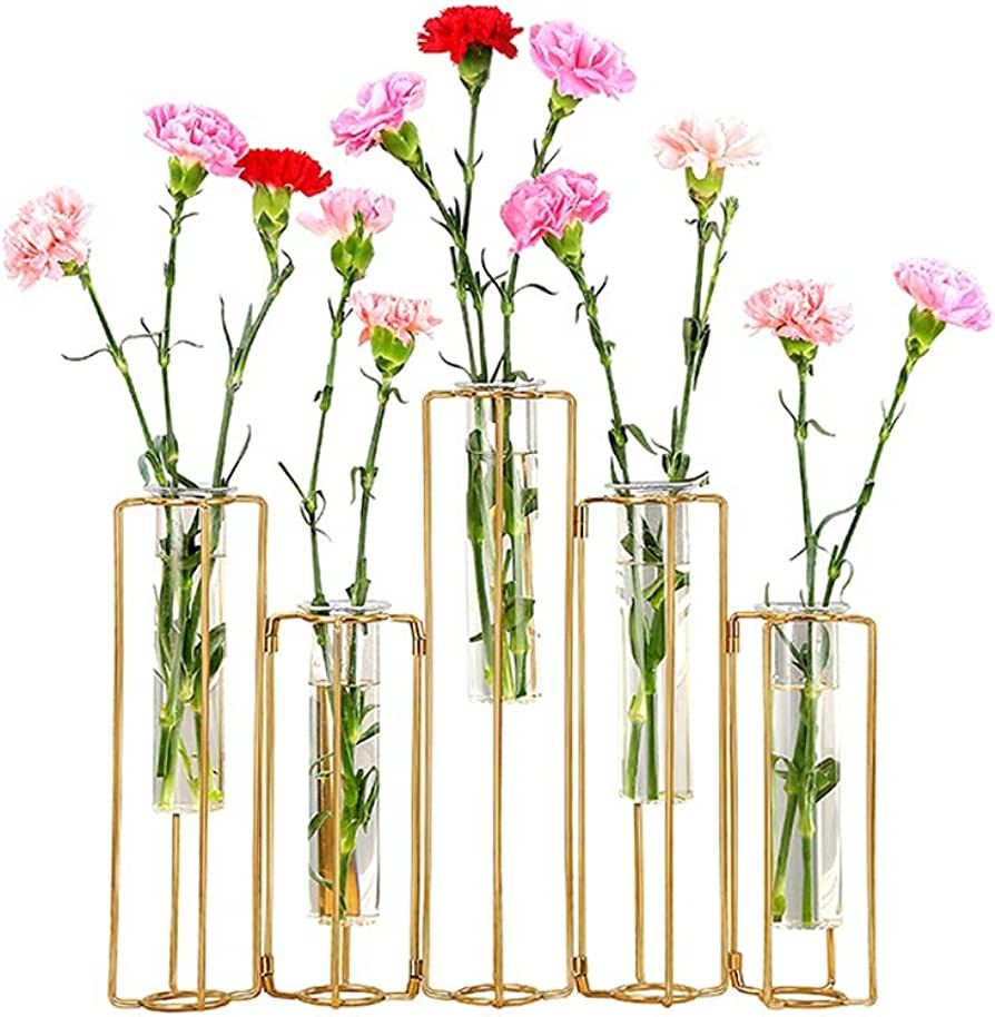 Hinged Flower Vases Test Tube Flower Vase with 5 Test Tubes Gold Metal Frame can be Bent and Cont... | Amazon (US)