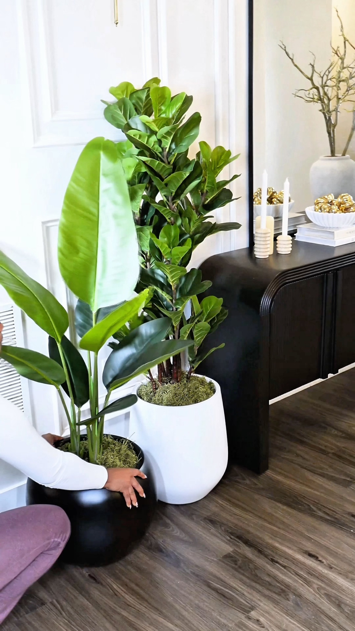 Amazon Planters 