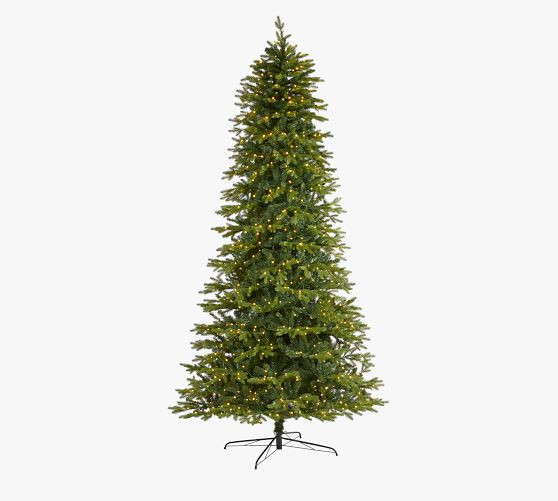 Lit Belgium Fir Artificial Christmas Tree | Pottery Barn (US)