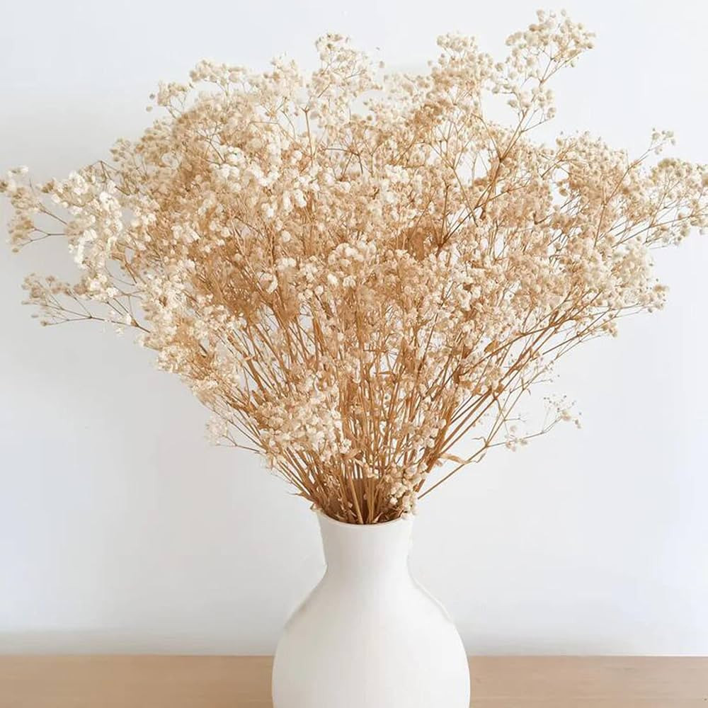 Dried Flowers Babys Breath Flowers Bouquet with Lights,17.2 inch Natural Ivory Bulk Flowers Real ... | Amazon (US)