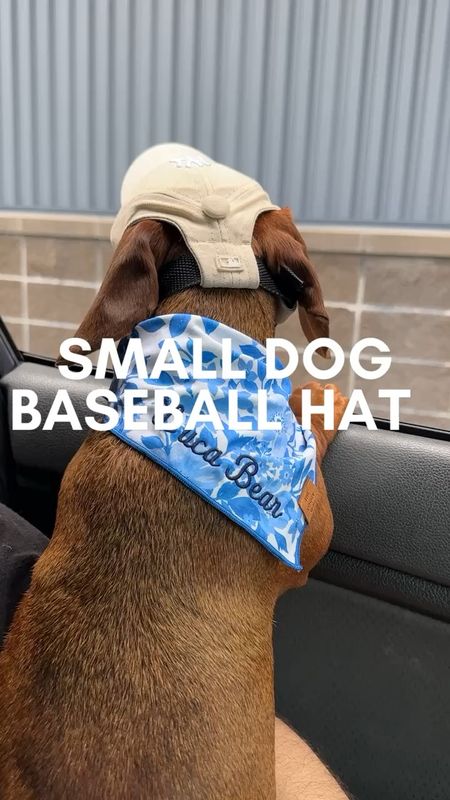 🐶 Smiles and Pearls Dog favorites. 🐶 Candice loves bananas and this Yankees hat for Luca.

Bananas is from the Foggy Dog! 
Dog hat, Dog baseball hat, Dog bandana,
Dachshund, Doxie, The Foggy Dog, Dog fashion,Dog accessories,Pawrents, Dog mom, Dog dad, New York Yankees hat, Yankees hat, MLB hat

#LTKMidsize #LTKGiftGuide #LTKPlusSize