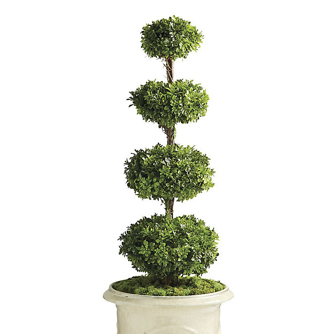 Outdoor Four Tier Boxwood Disc Topiary | Frontgate | Frontgate