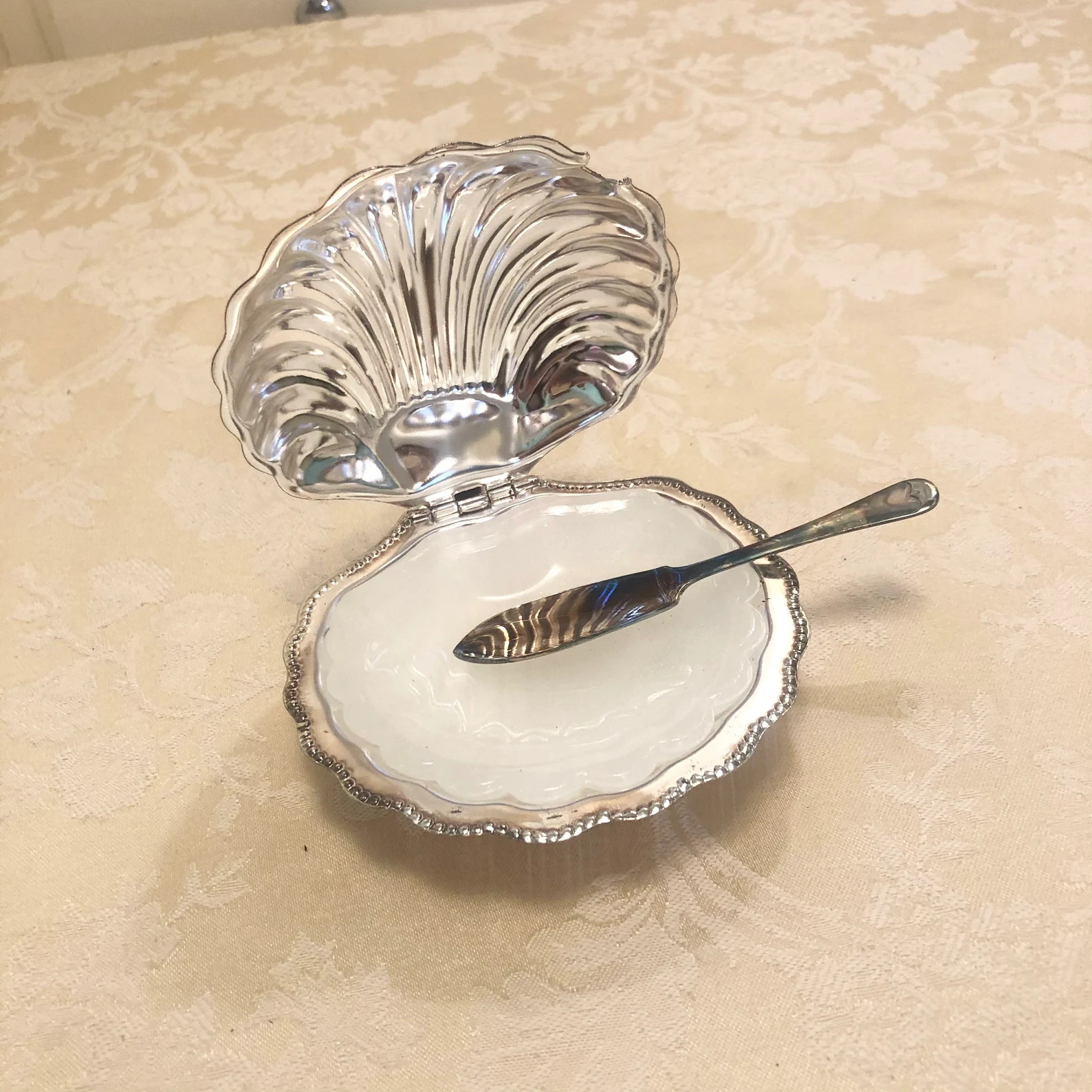 Rare Shell Queen Anne Silver Shell Glass Insert and Silver Spreader Shell Designs Very Detailed S... | Etsy (US)