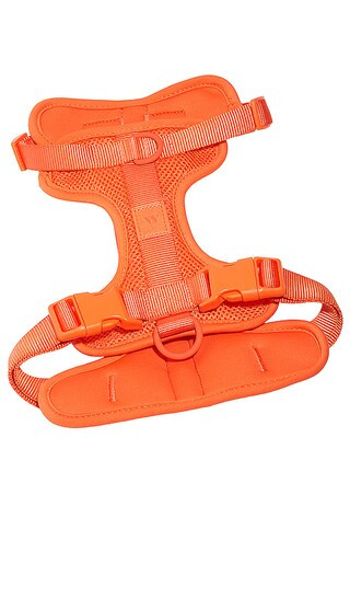 Wild One x REVOLVE Harness in Burnt Orange. | Revolve Clothing (Global)