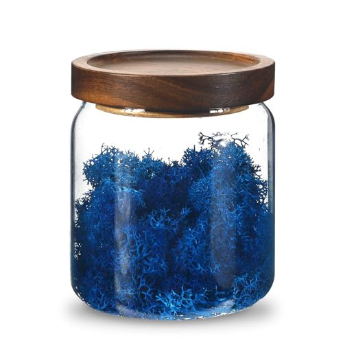 Glass Spice Jars Seasoning Containers Small Glass Jars with Lids Airtight Food Storage Canister for Kitchen Pantry Sugar Tea Coffee Bean Nuts Cookies Herbs Salt (473ml/16oz-1 pcs) | Amazon (US)