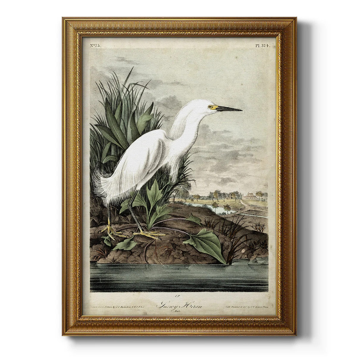 " Snowy Heron " Painting Print | Wayfair North America
