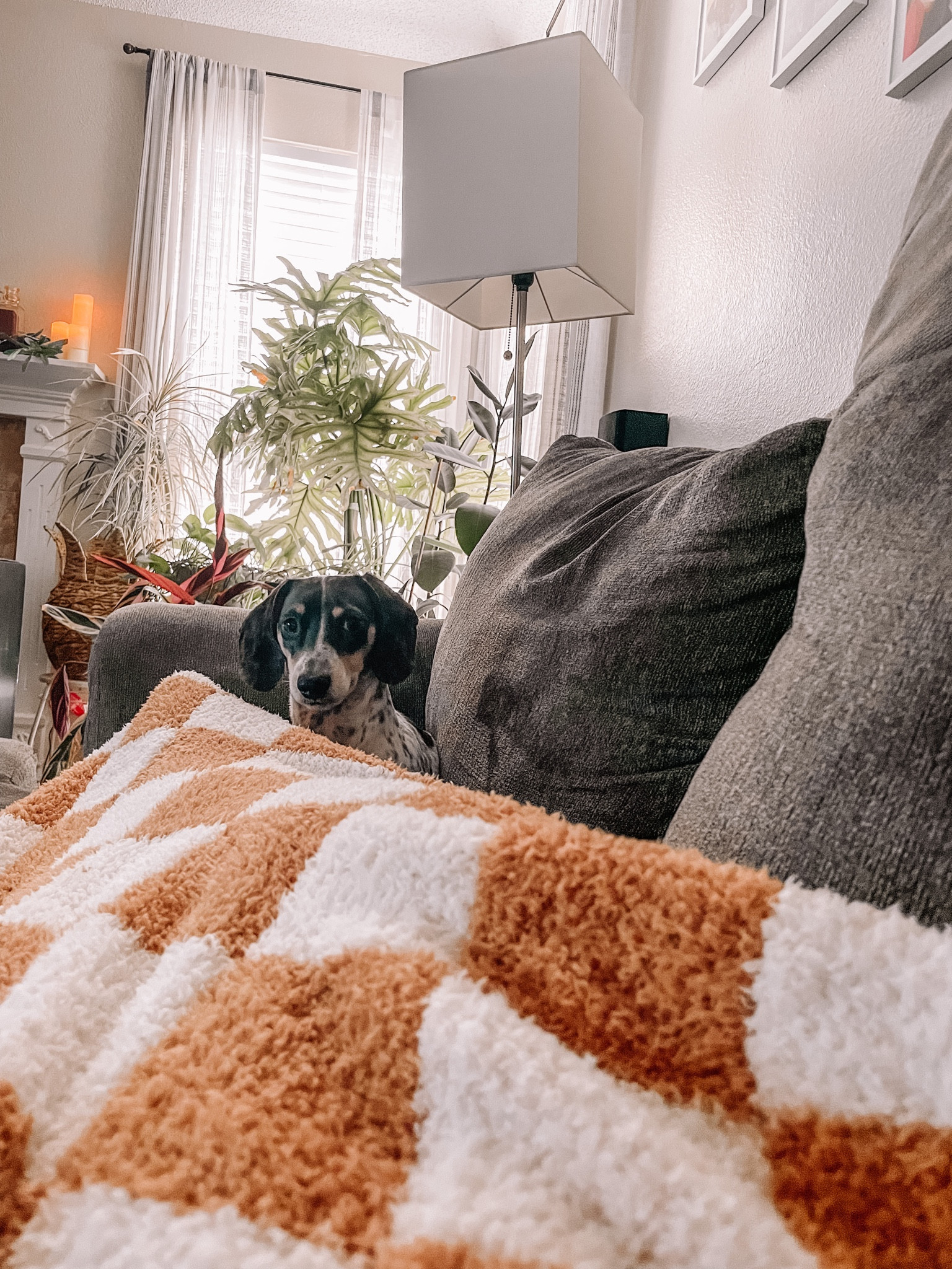 My new favorite spring blanket is just 👌

#LTKSeasonal #LTKunder100 #LTKhome