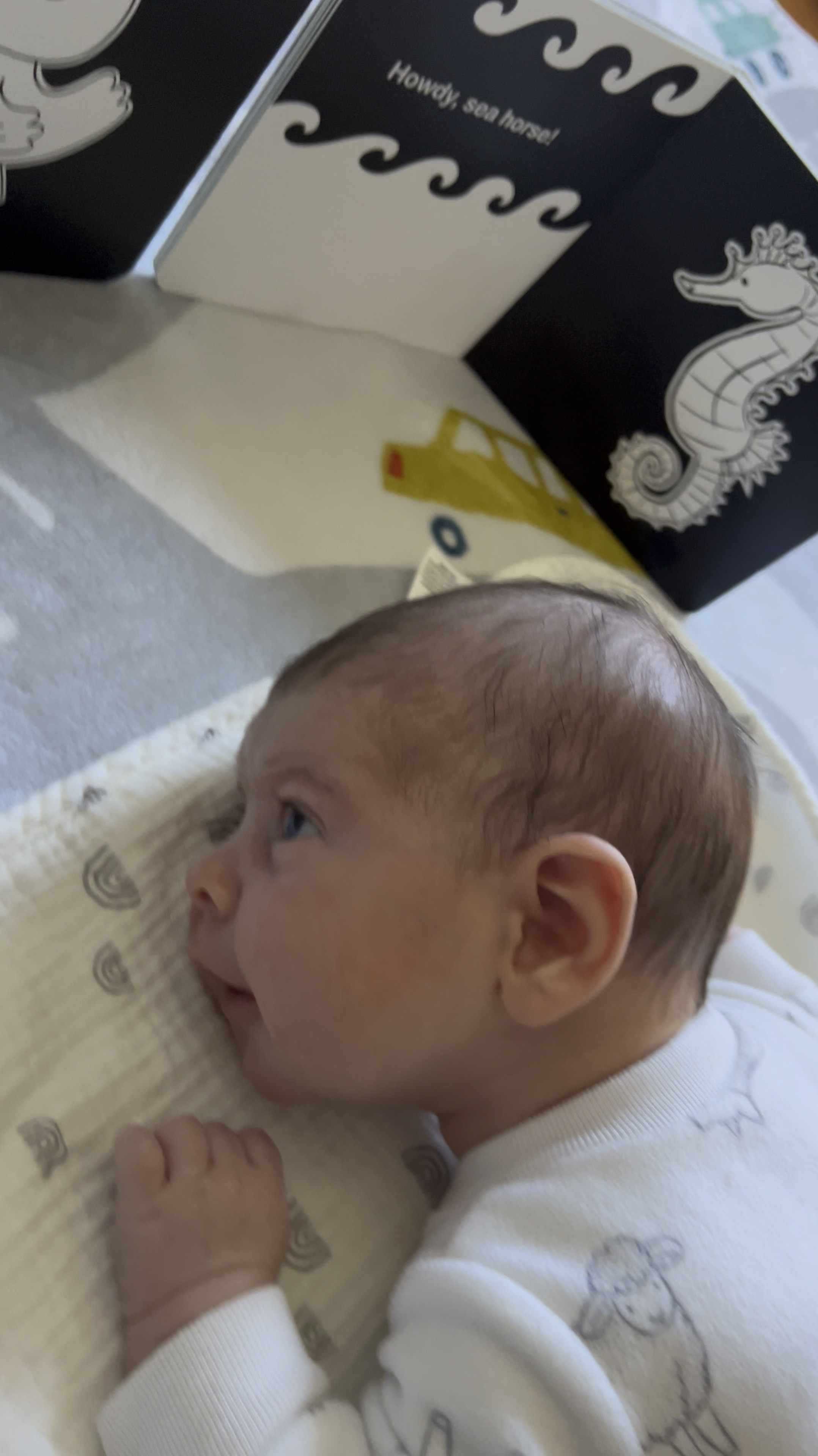 The books I use for Luccas tummy time currently 

#LTKGiftGuide #LTKBaby #LTKKids