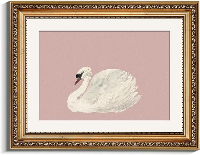 VIYYIEA Gold Framed Wall Art, Swan Pink Canvas Print Home Decor Vintage Art Painting Picture Bath... | Amazon (US)