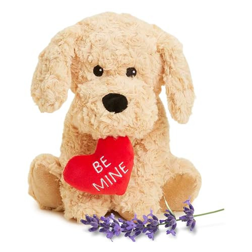 warmies Microwavable & Weighted Stuffed Animals, Dog Golden Be Mine - Heated Stuffed Animal Plushie for Warmth & Comfort - Cute Soft Plush Toys for Adults & Children (Boys, Girls, Babies & Toddlers) | Amazon (US)