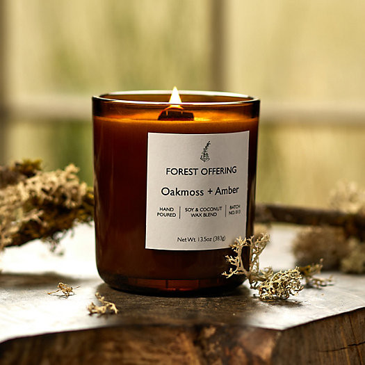 Forest Offering Candle, Oak Moss + Amber | Terrain