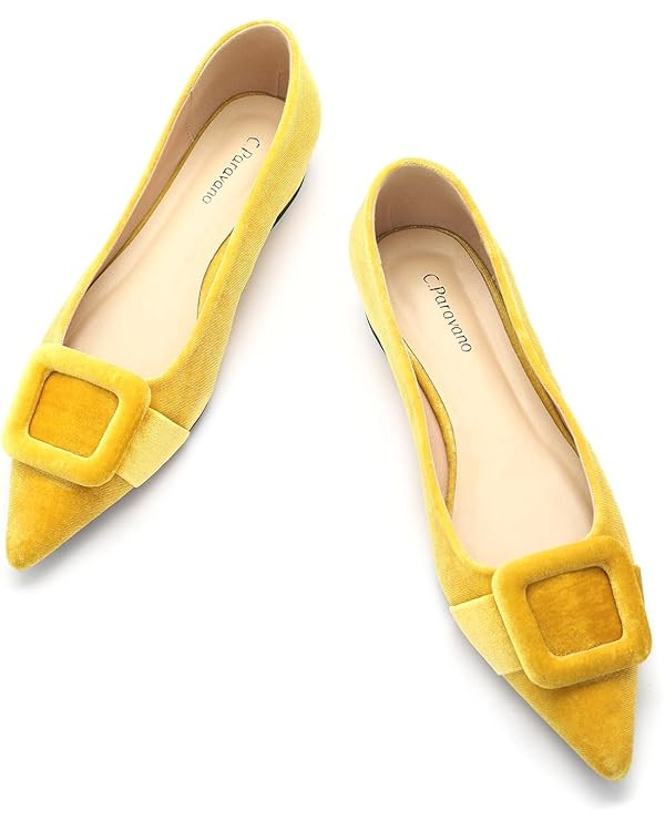 C.Paravano Women's Flats Velvet Pointed Toe Flats Slip-On Casual Work Shoes for Daily Wear Comfor... | Amazon (US)