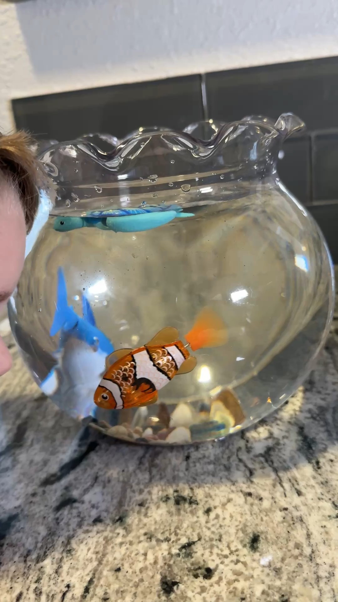 Dive into an underwater adventure with the Robo Alive Water-Activated Sea Creatures by @zuru.toys #gifted

Bring bath time and water play to life! We also love using these with our water table in the warmer months! ☀️

The perfect item to stick in a Valentine basket, Easter basket, Christmas stocking, and birthday gift!