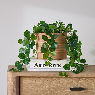 Faux Potted Trailing Leaf Plant | West Elm (US)