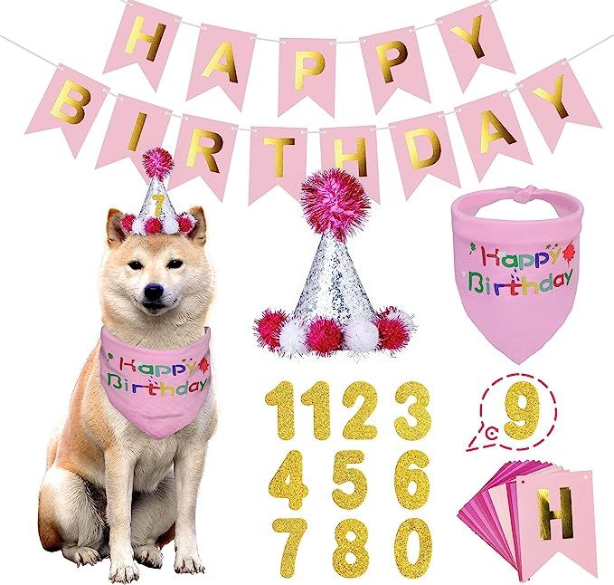 BANMODER Dog Happy Birthday Bandana Hat with 0-8 Figures Banner Set Dog Boy Girl Scarf Birthday P... | Amazon (US)