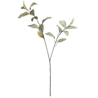Green Feather Eucalyptus Stem by Ashland® | Michaels® | Michaels Stores