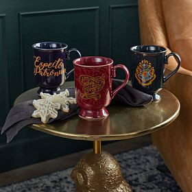 Harry Potter™ Magic Heat-Sensitive Mugs | Pottery Barn Teen
