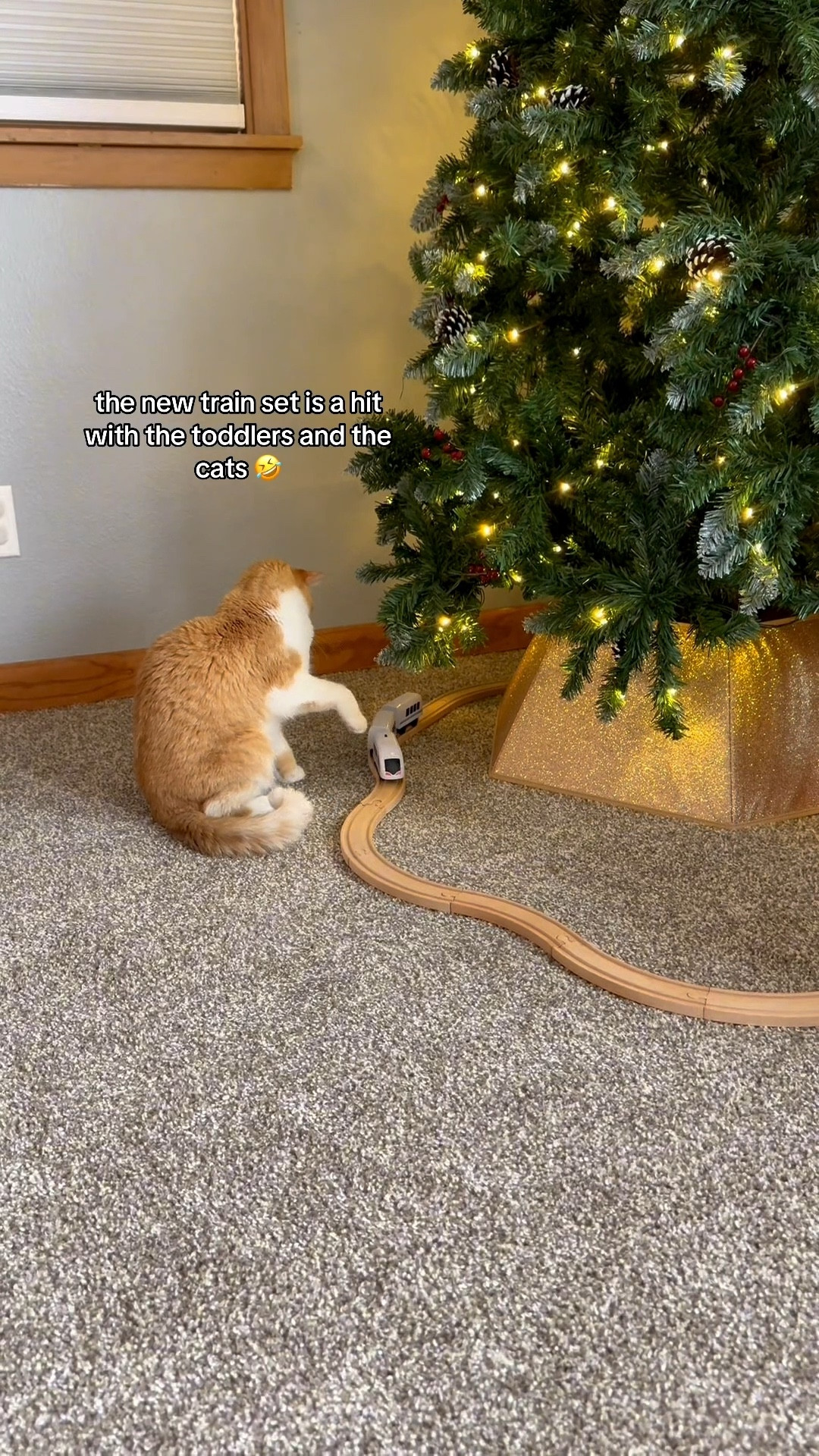 This has been the biggest hit with everyone. My husband and I played with it after the kids went to bed even 🤣

#LTKFindsUnder50 #LTKmomlife #LTKKids