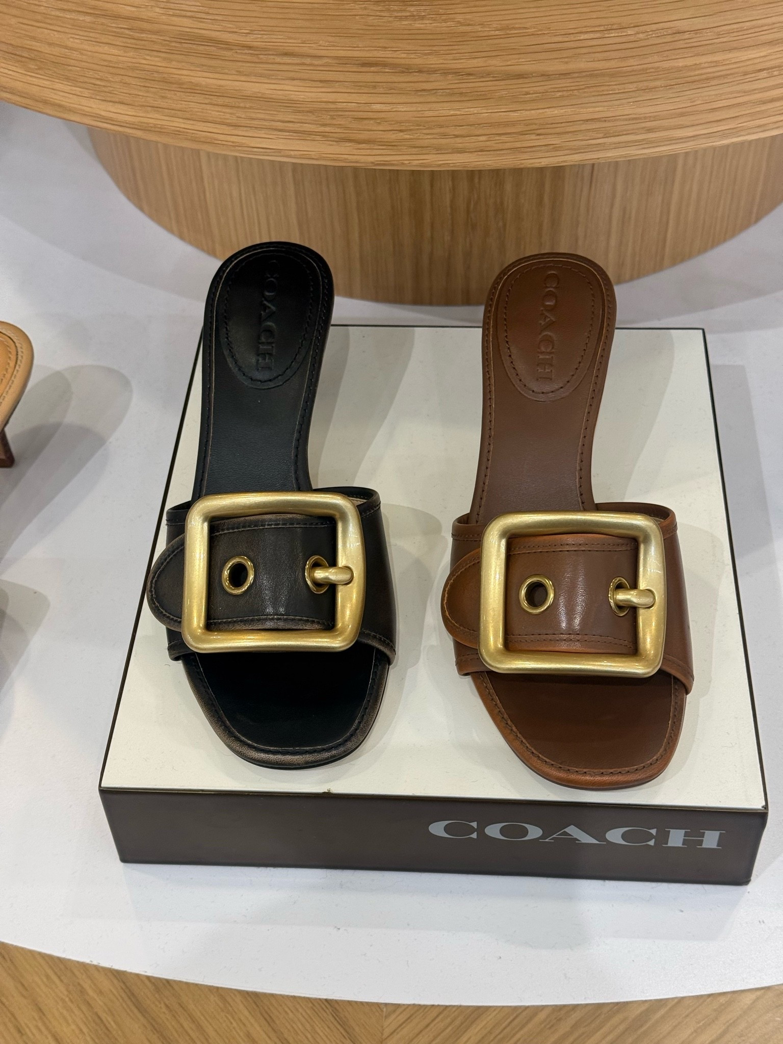 Easy, elevated and SO wearable. 🤎 These Coach buckle slides at Dillard’s come in classic black and brown with the oversized gold buckle. Such a good transition shoe to wear now and into fall.

#LTKSeasonal #LTKPetite #LTKgrwm