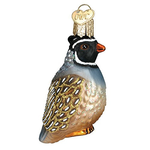 Old World Christmas Bird Watcher Collection Glass Blown Ornaments for Christmas Tree Patridge | Amazon (US)