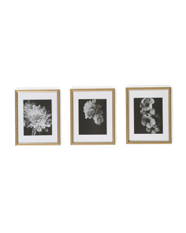3pc 11x14 Beaded Edge Wall Picture Frames | TJ Maxx